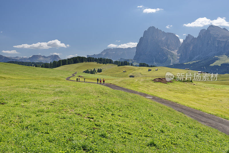 吹口哨的Alpe (Dolomiti)